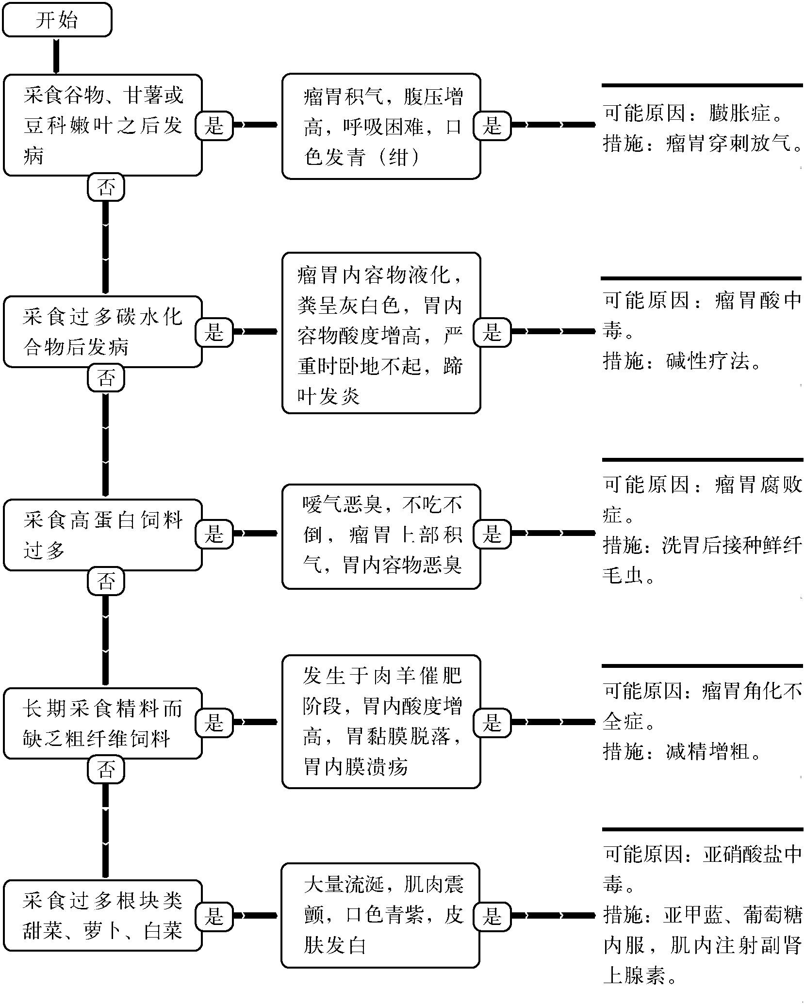 41.代謝性瘤胃病